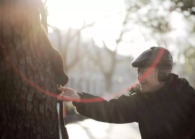 中医特色疗法在心脑血管疾病中的应用