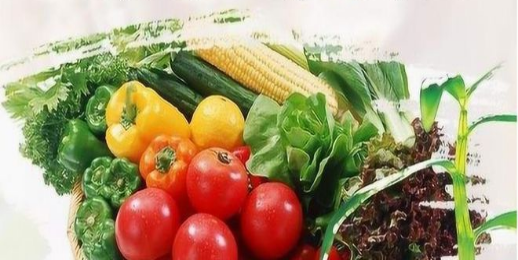 中医食疗在心脑血管健康管理中的作用